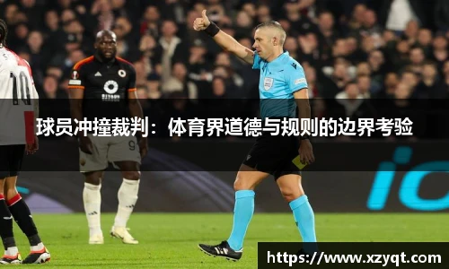 球员冲撞裁判：体育界道德与规则的边界考验