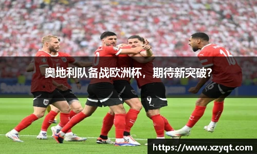 奥地利队备战欧洲杯，期待新突破？